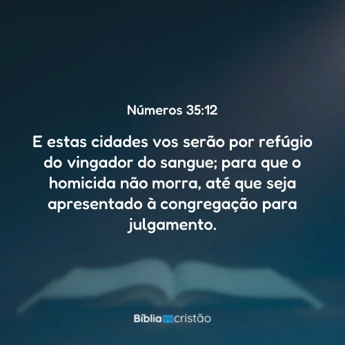 Números 35:12