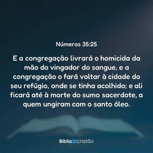 Números 35:25
