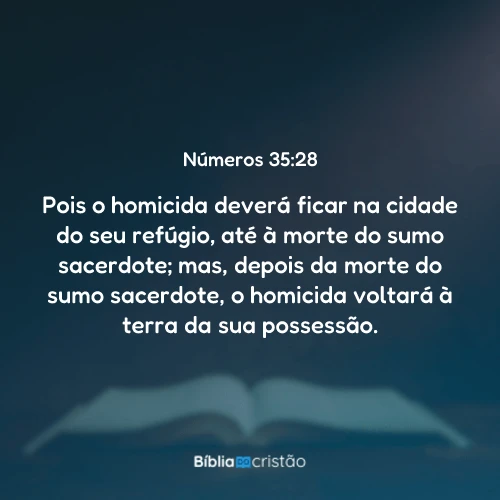 Números 35:28