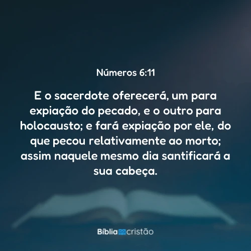 Números 6:11