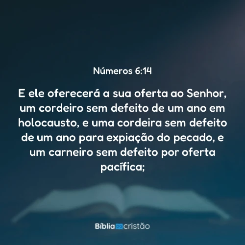 Números 6:14