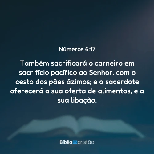 Números 6:17