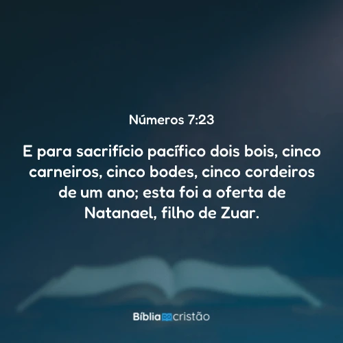 Números 7:23