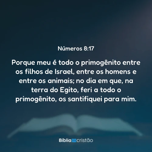 Números 8:17