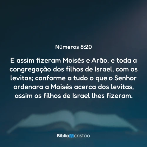 Números 8:20