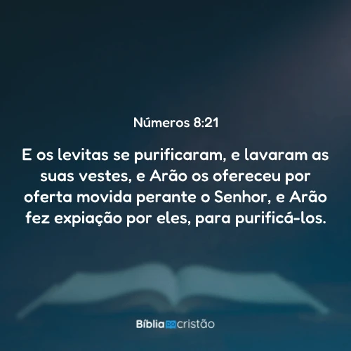 Números 8:21