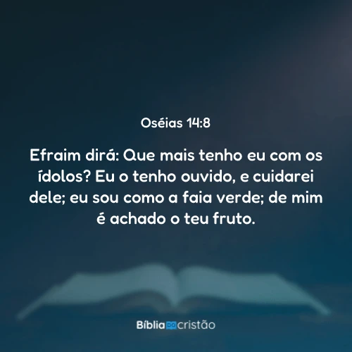 Oséias 14:8