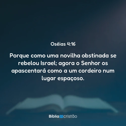 Oséias 4:16