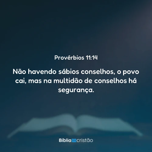 Provérbios 11:14