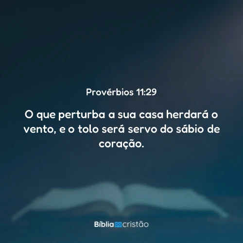 Provérbios 11:29