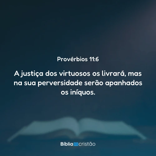 Provérbios 11:6