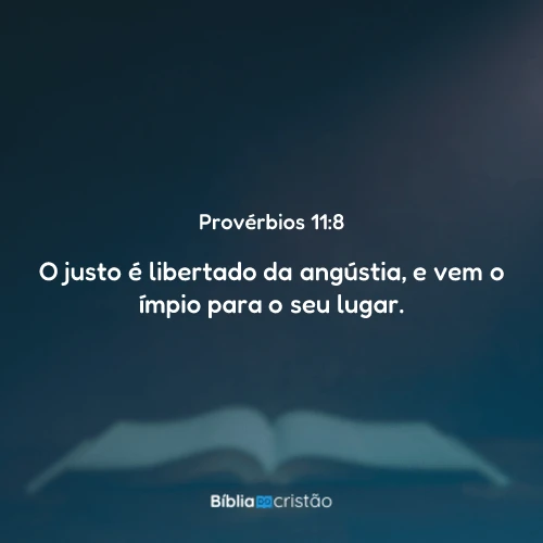 Provérbios 11:8