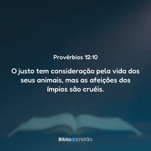 Provérbios 12:10