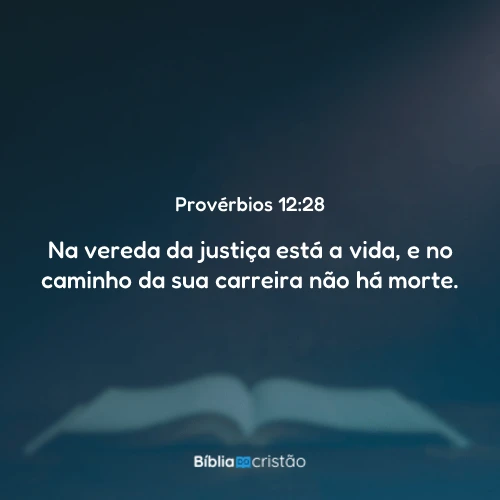 Provérbios 12:28