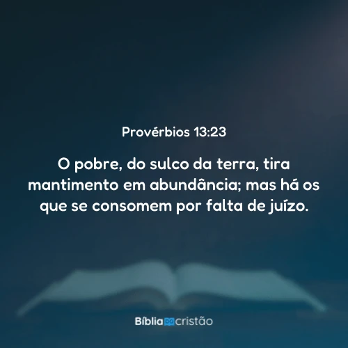 Provérbios 13:23