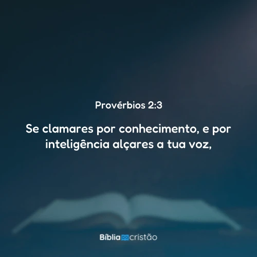 Provérbios 2:3