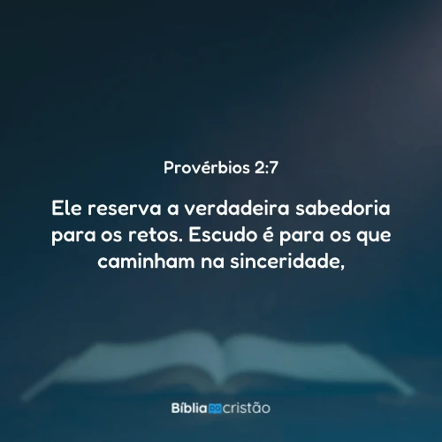 Provérbios 2:7