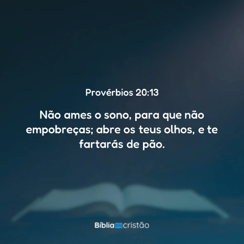 Provérbios 20:13