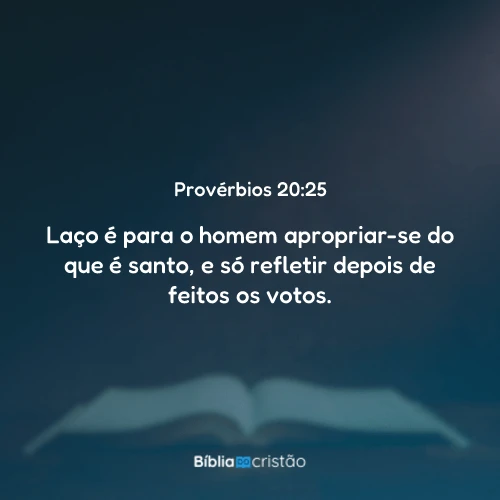 Provérbios 20:25