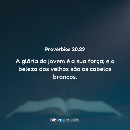 Provérbios 20:29
