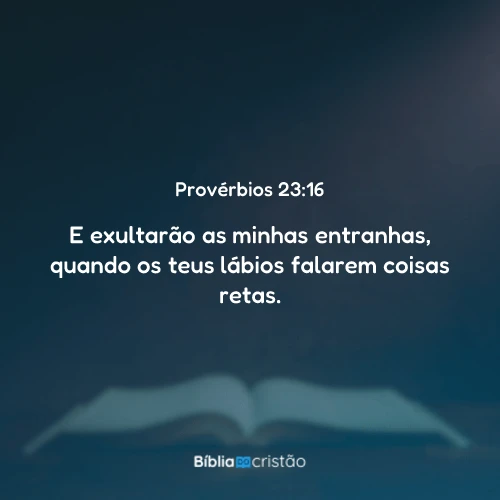 Provérbios 23:16