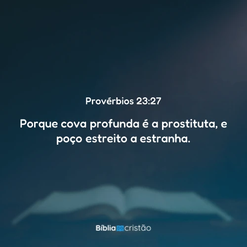 Provérbios 23:27
