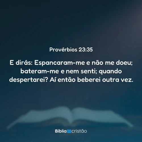 Provérbios 23:35