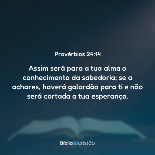 Provérbios 24:14