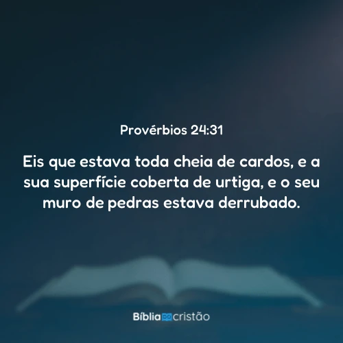 Provérbios 24:31