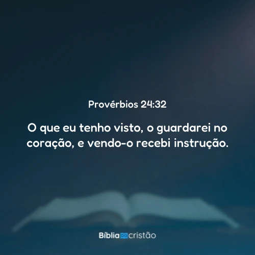 Provérbios 24:32