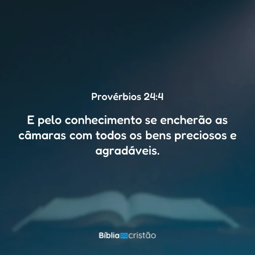 Provérbios 24:4