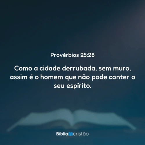 Provérbios 25:28