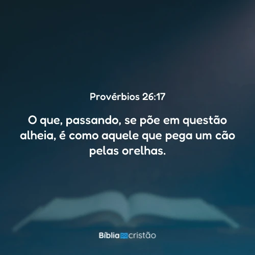 Provérbios 26:17
