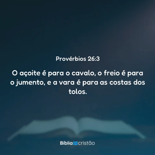 Provérbios 26:3
