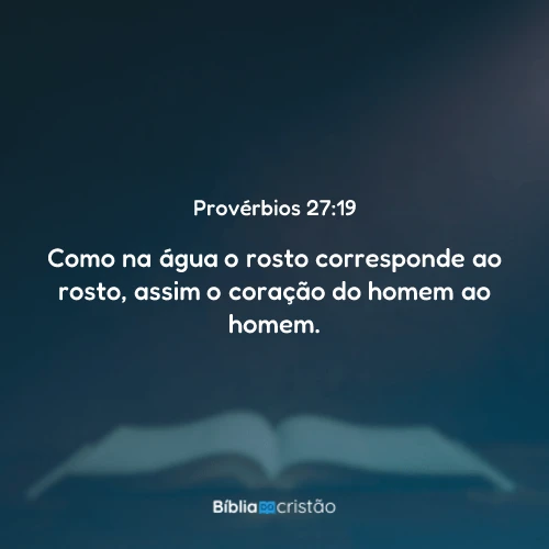 Provérbios 27:19