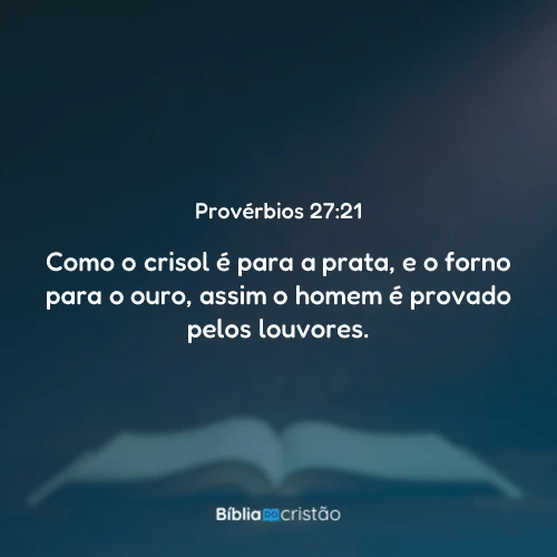 Provérbios 27:21