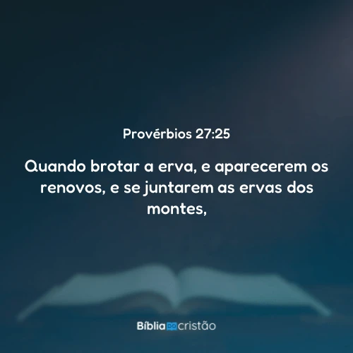 Provérbios 27:25