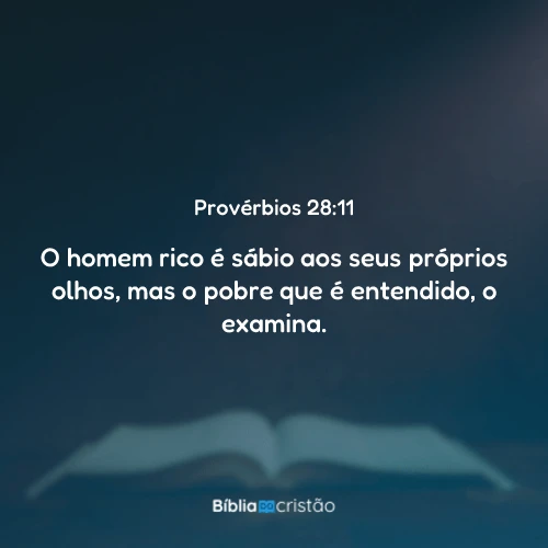 Provérbios 28:11