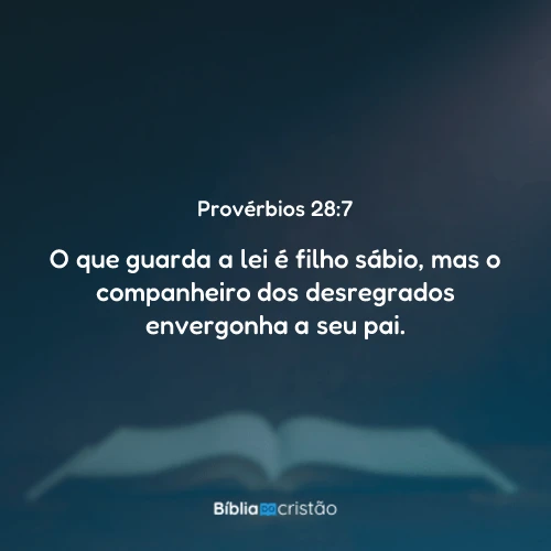 Provérbios 28:7