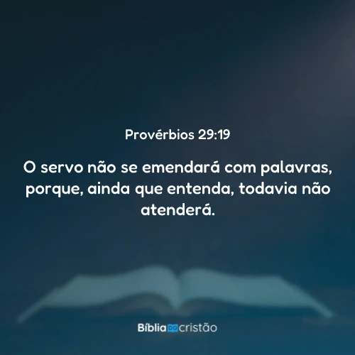 Provérbios 29:19