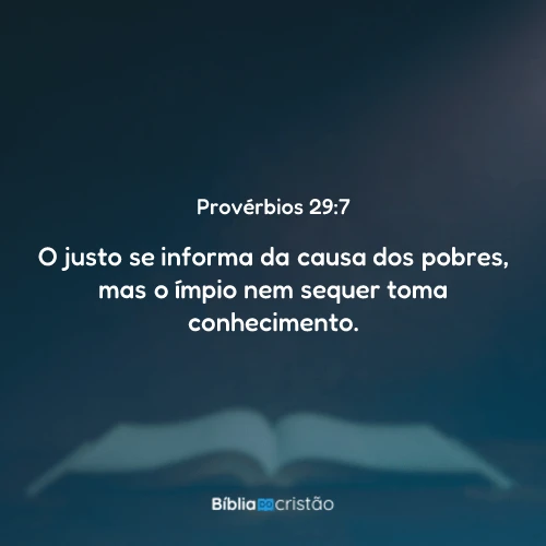 Provérbios 29:7