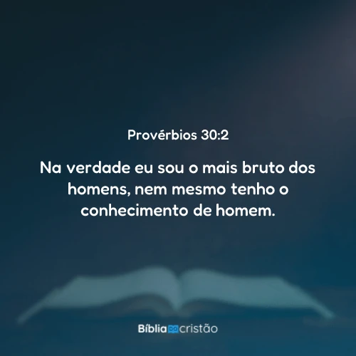 Provérbios 30:2