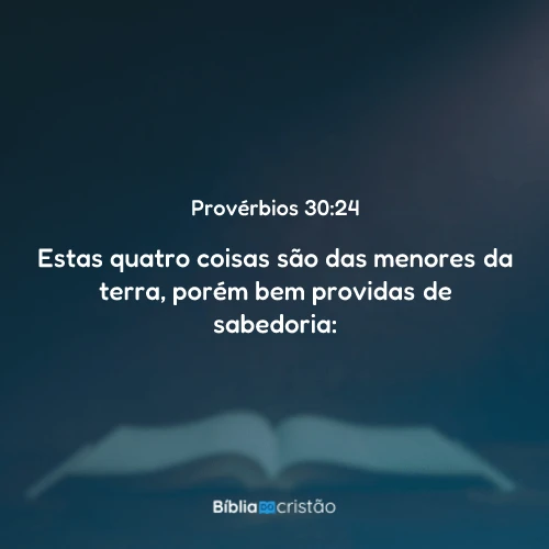 Provérbios 30:24