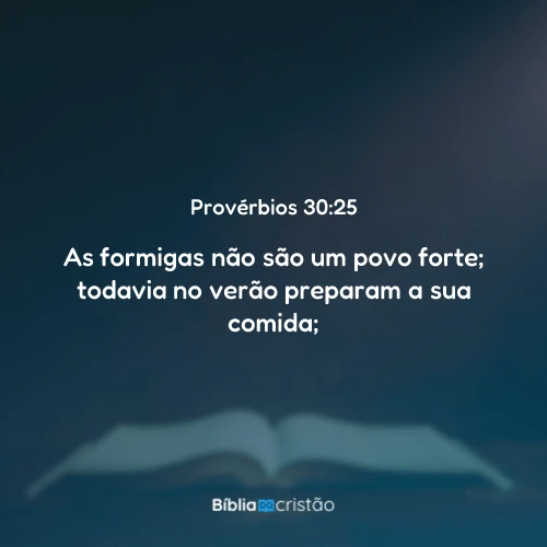 Provérbios 30:25