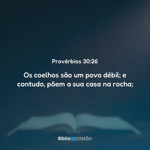 Provérbios 30:26