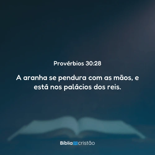 Provérbios 30:28