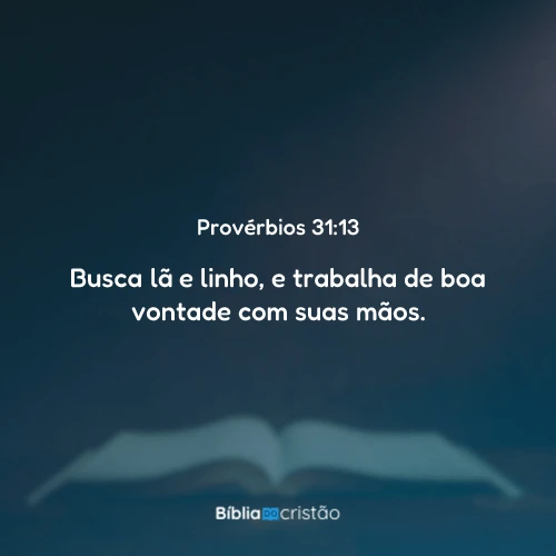 Provérbios 31:13