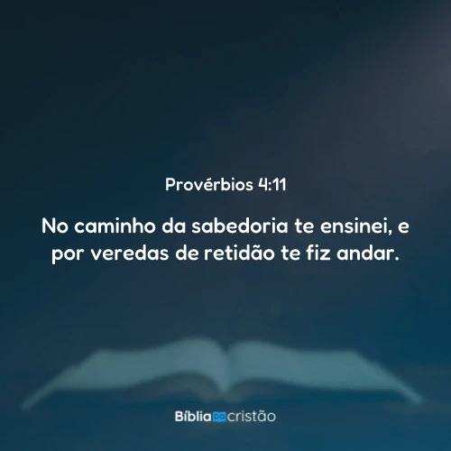 Provérbios 4:11