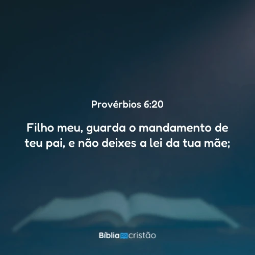 Provérbios 6:20
