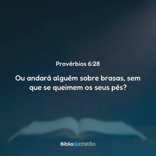Provérbios 6:28